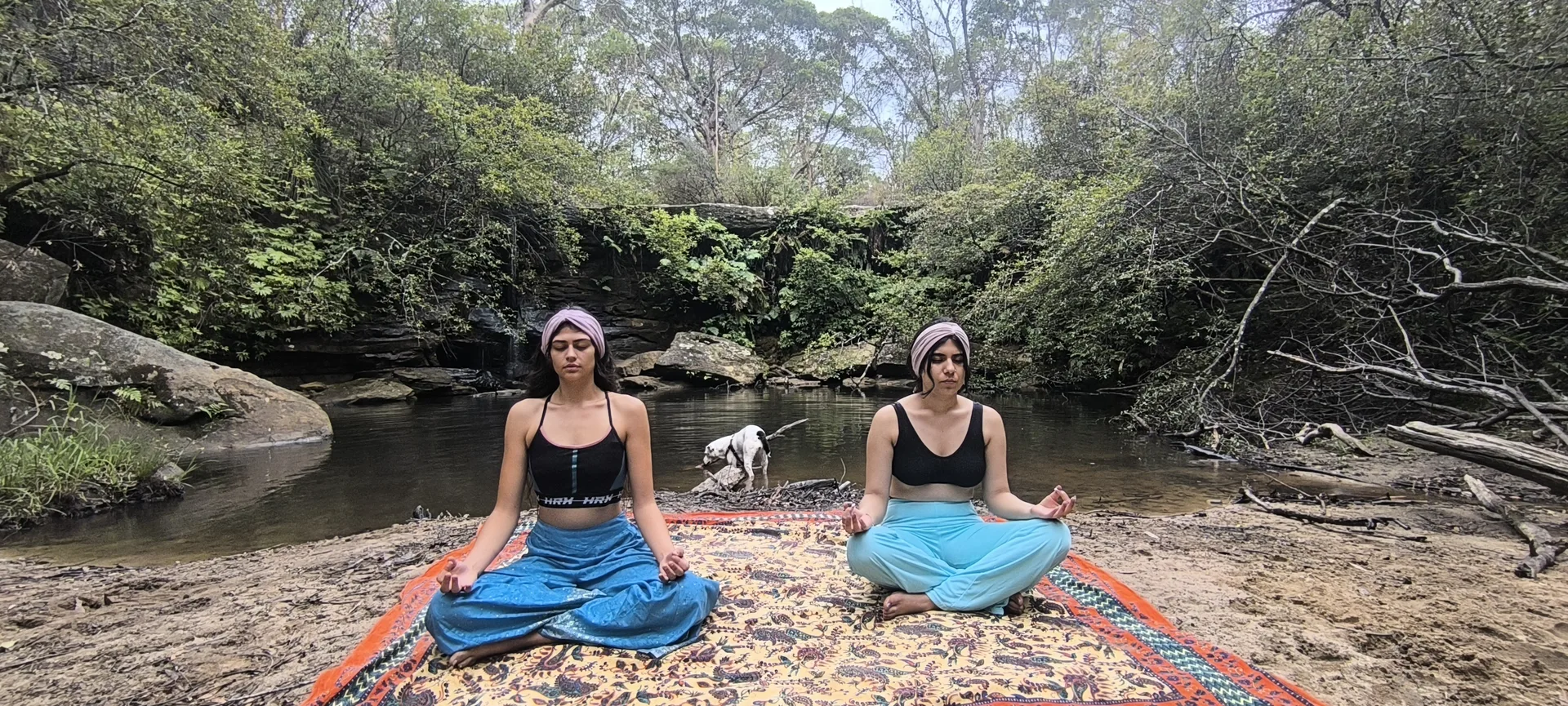 Holistic yoga session focusing on alignment and posture