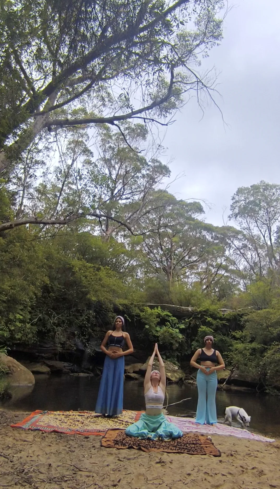 Yoga practitioners in triangle pose during group class