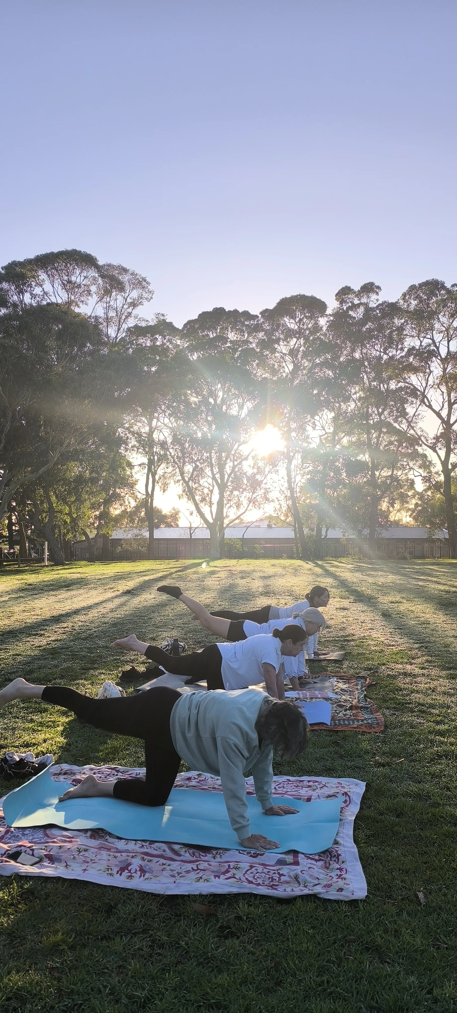 Dawn yoga practice with grounding meditation techniques